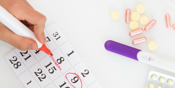 Test d'ovulation : quand faire le test ? comment l'utiliser ? Explications ! 